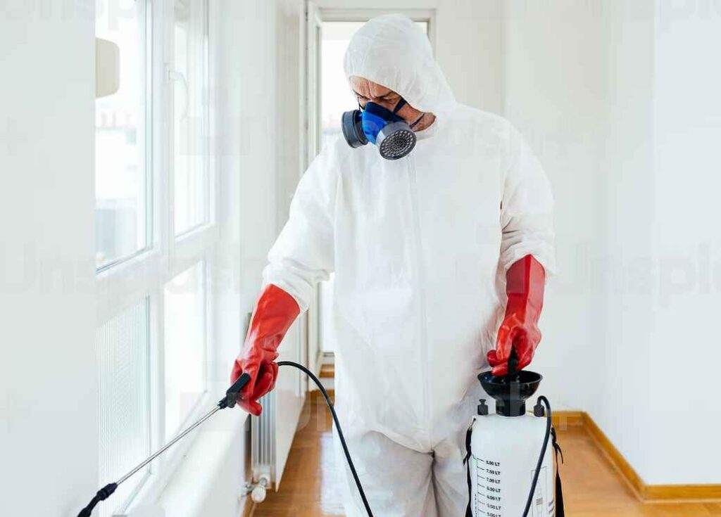 pest control 42 1024x735