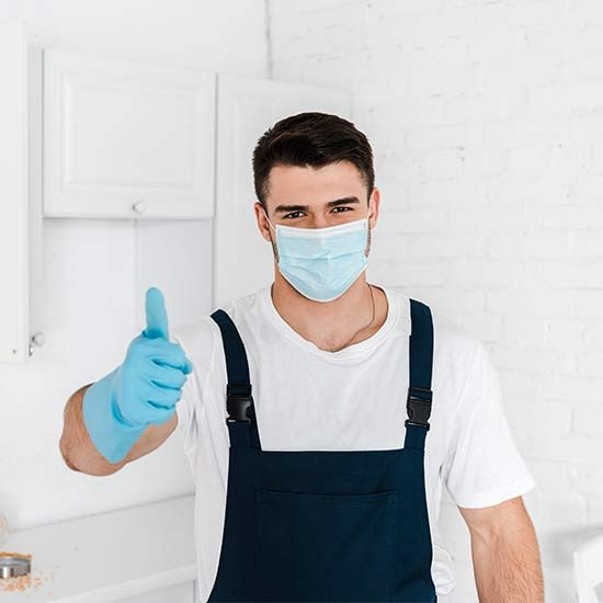 Termite Control Lahore