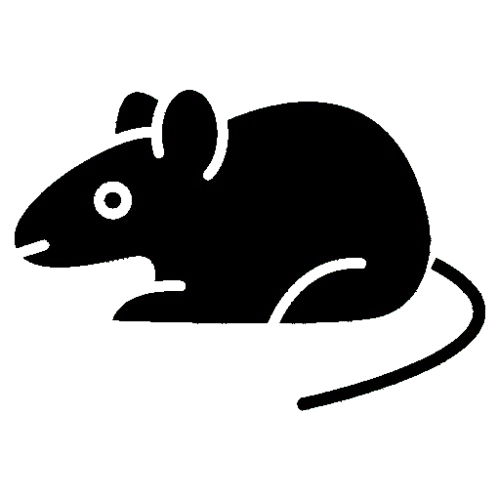 rat and mice control removebg preview