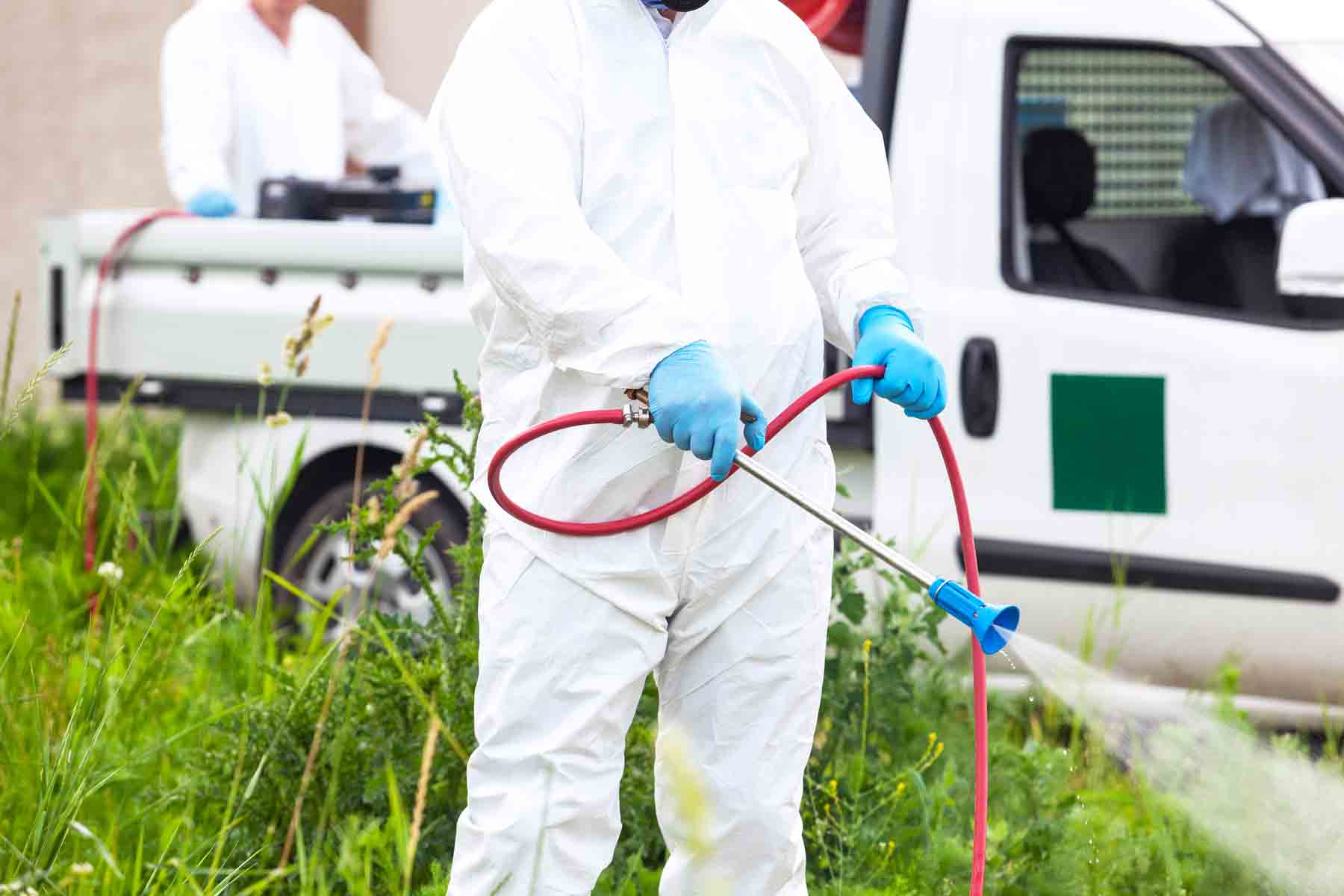 homeguide pest control company spraying yard for mosquitos