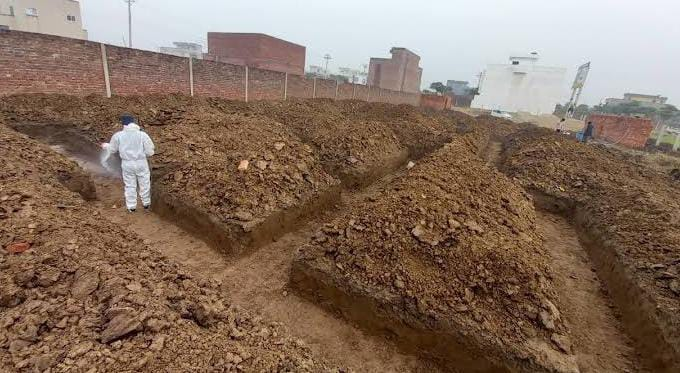 termite control services in Lahore