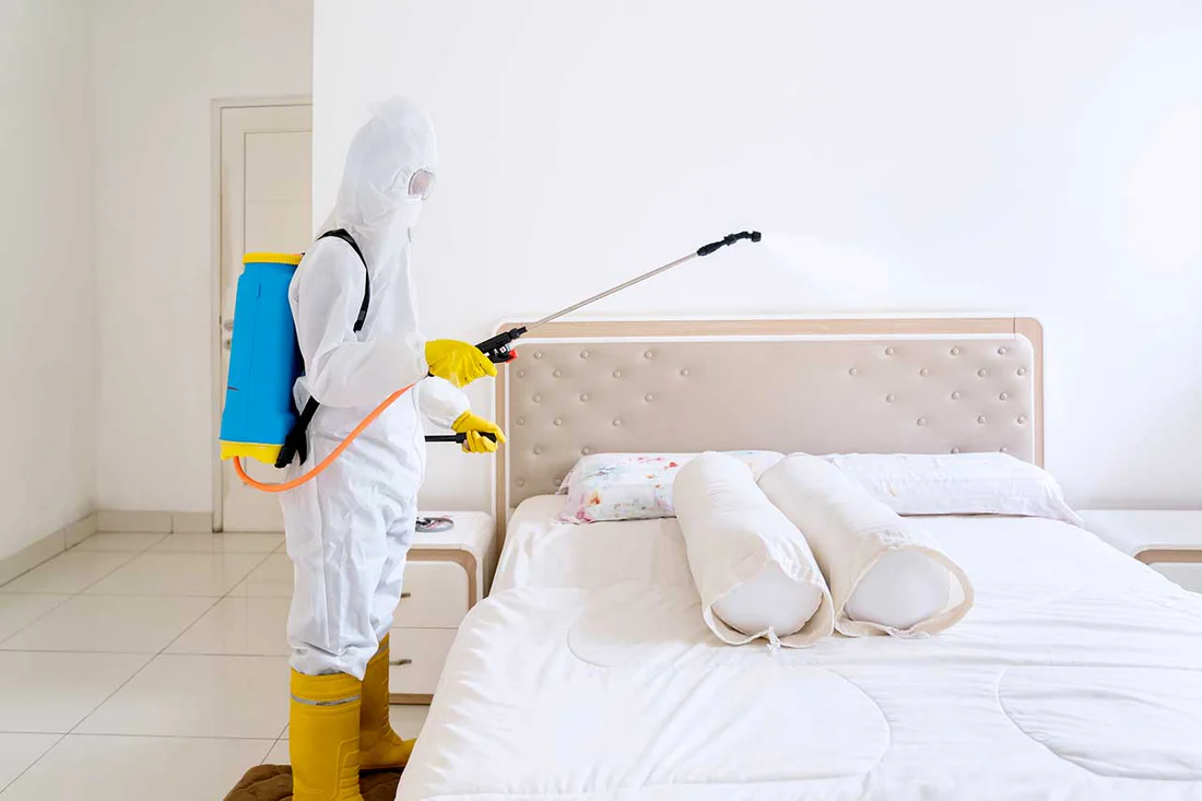 worker spraying bed with disinfectant